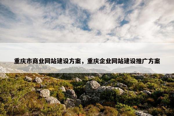 重庆市商业网站建设方案，重庆企业网站建设推广方案