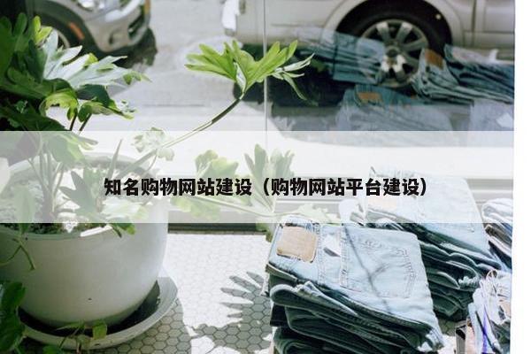 知名购物网站建设（购物网站平台建设）