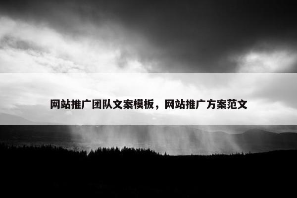 网站推广团队文案模板，网站推广方案范文