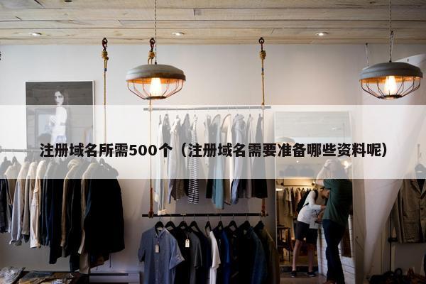 注册域名所需500个（注册域名需要准备哪些资料呢）