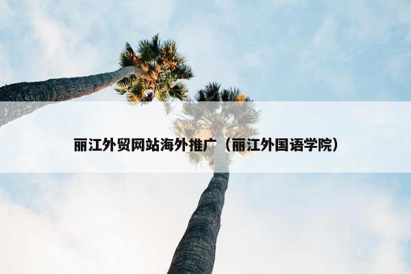 丽江外贸网站海外推广（丽江外国语学院）