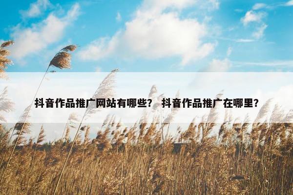 抖音作品推广网站有哪些？ 抖音作品推广在哪里？