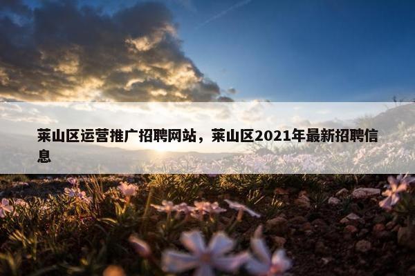莱山区运营推广招聘网站，莱山区2021年最新招聘信息