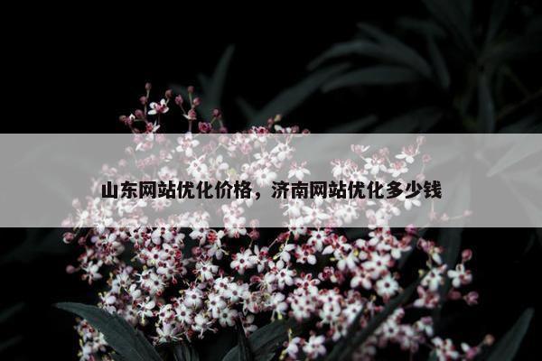 山东网站优化价格，济南网站优化多少钱