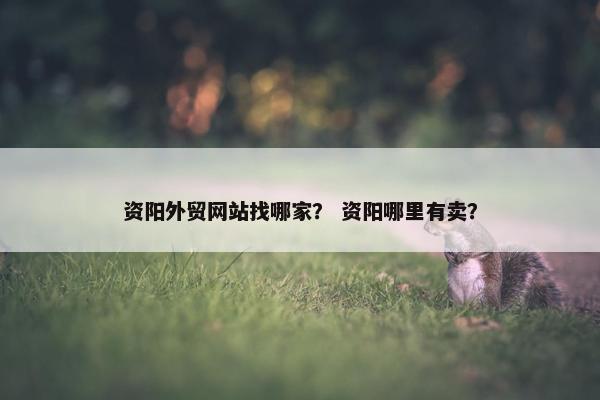 资阳外贸网站找哪家？ 资阳哪里有卖？