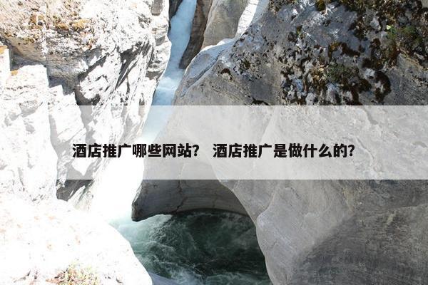 酒店推广哪些网站？ 酒店推广是做什么的？