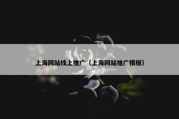 上海网站线上推广（上海网站推广模板）