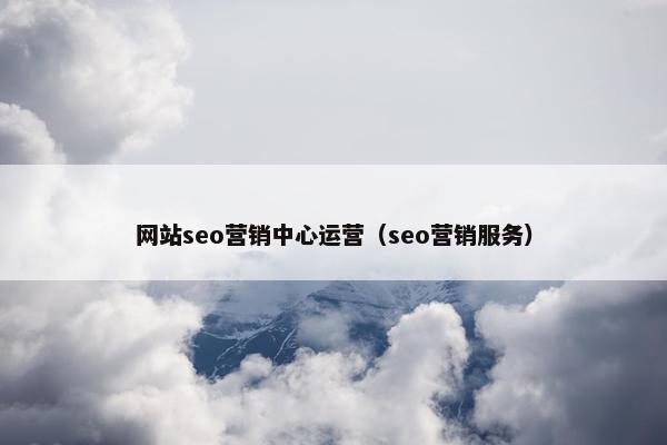网站seo营销中心运营（seo营销服务）