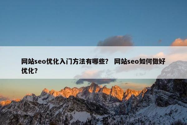 网站seo优化入门方法有哪些？ 网站seo如何做好优化？