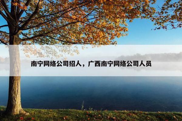 南宁网络公司招人，广西南宁网络公司人员