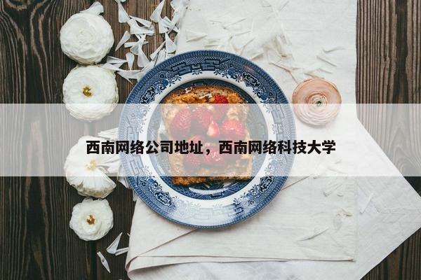 西南网络公司地址，西南网络科技大学