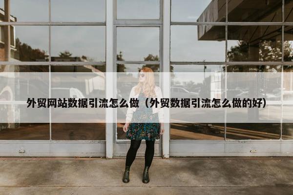 外贸网站数据引流怎么做（外贸数据引流怎么做的好）