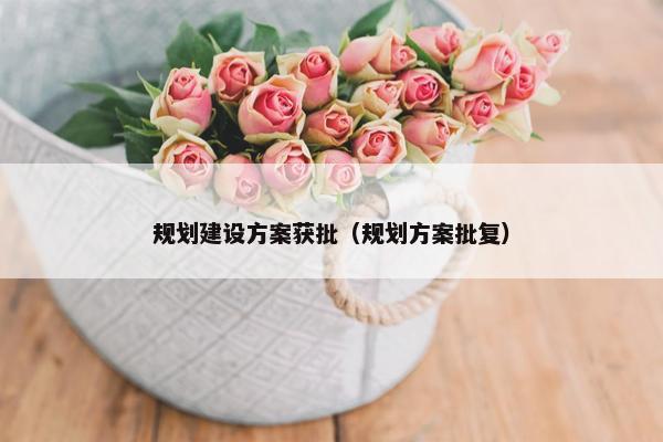 规划建设方案获批（规划方案批复）