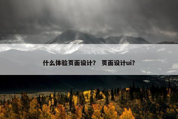 什么体验页面设计？ 页面设计ui？