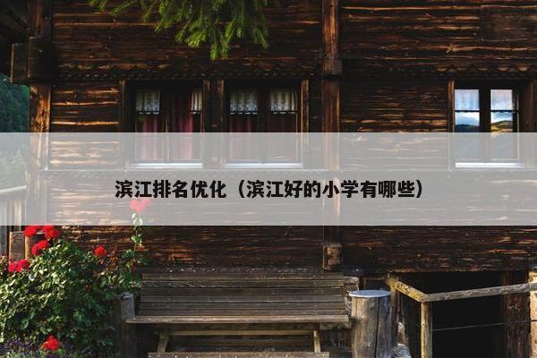 滨江排名优化（滨江好的小学有哪些）