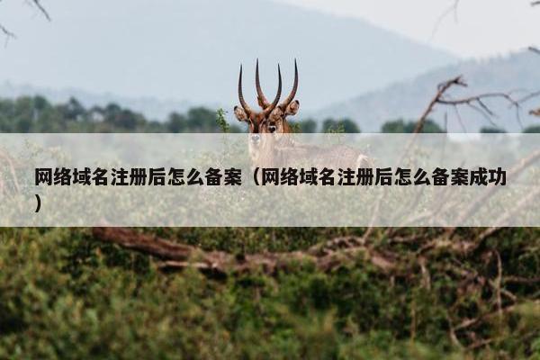 网络域名注册后怎么备案（网络域名注册后怎么备案成功）