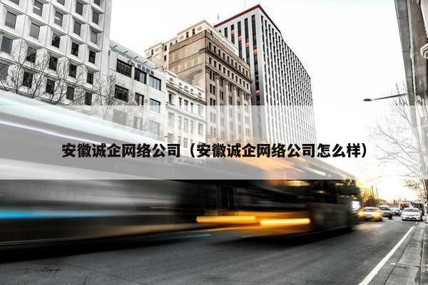 安徽诚企网络公司（安徽诚企网络公司怎么样）