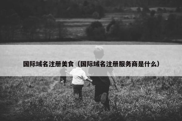 国际域名注册美食（国际域名注册服务商是什么）