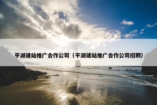 平湖建站推广合作公司（平湖建站推广合作公司招聘）