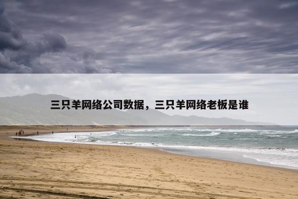 三只羊网络公司数据，三只羊网络老板是谁