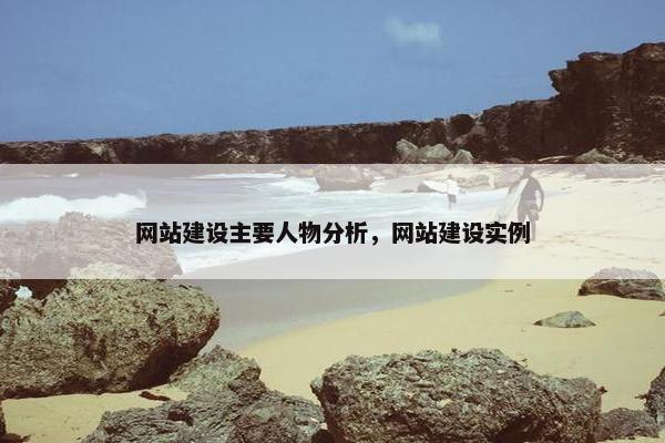 网站建设主要人物分析，网站建设实例