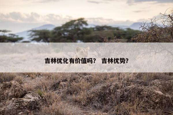 吉林优化有价值吗？ 吉林优势？