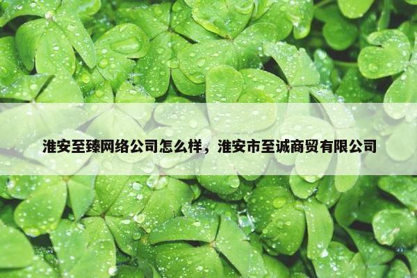 淮安至臻网络公司怎么样，淮安市至诚商贸有限公司