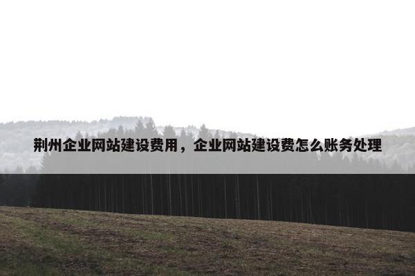 荆州企业网站建设费用，企业网站建设费怎么账务处理