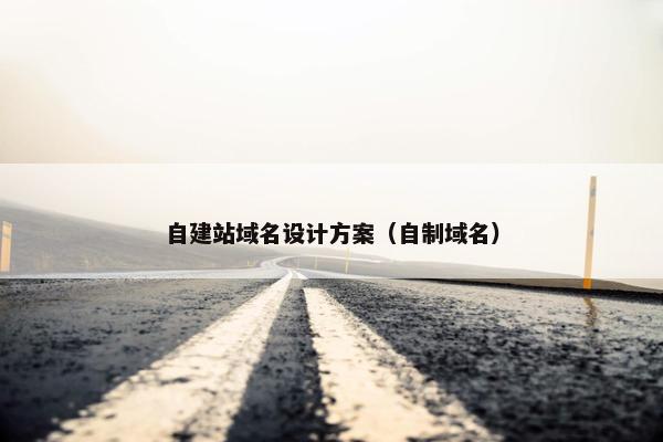 自建站域名设计方案（自制域名）