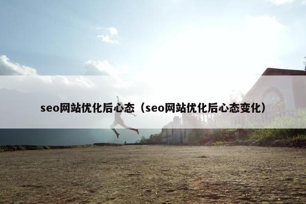seo网站优化后心态（seo网站优化后心态变化）