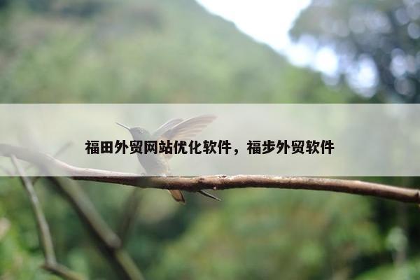 福田外贸网站优化软件，福步外贸软件
