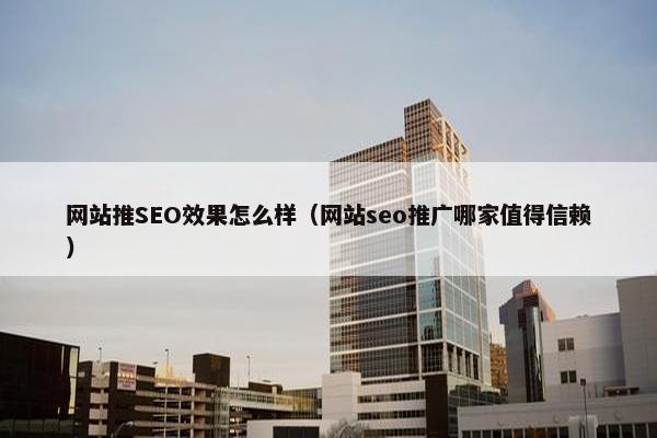 网站推SEO效果怎么样（网站seo推广哪家值得信赖）
