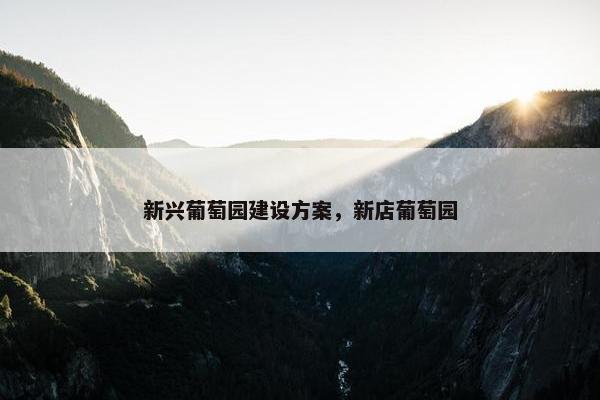 新兴葡萄园建设方案，新店葡萄园