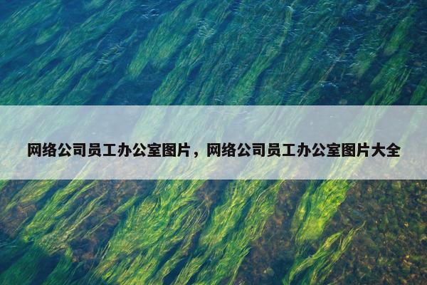 网络公司员工办公室图片，网络公司员工办公室图片大全