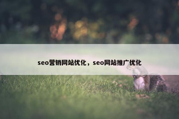 seo营销网站优化，seo网站推广优化