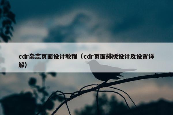 cdr杂志页面设计教程（cdr页面排版设计及设置详解）