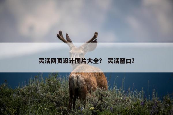 灵活网页设计图片大全？ 灵活窗口？