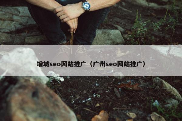 增城seo网站推广（广州seo网站推广）