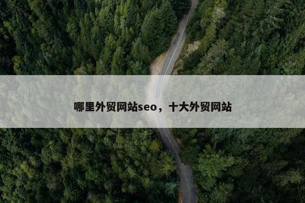 哪里外贸网站seo，十大外贸网站
