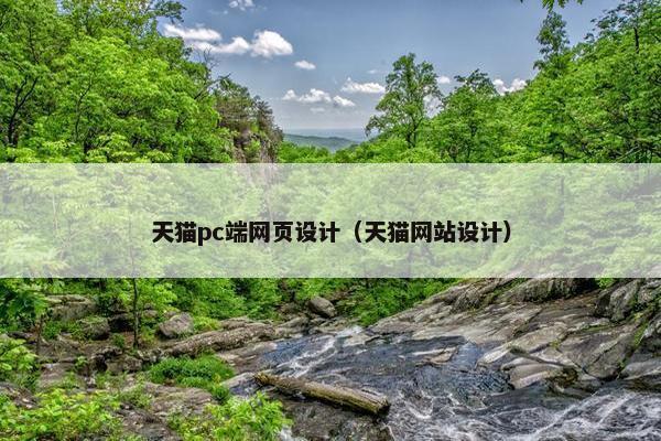 天猫pc端网页设计（天猫网站设计）