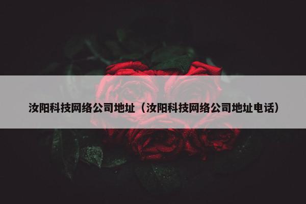 汝阳科技网络公司地址（汝阳科技网络公司地址电话）