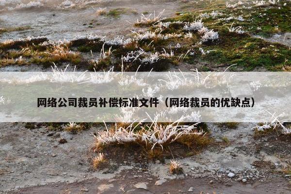 网络公司裁员补偿标准文件（网络裁员的优缺点）