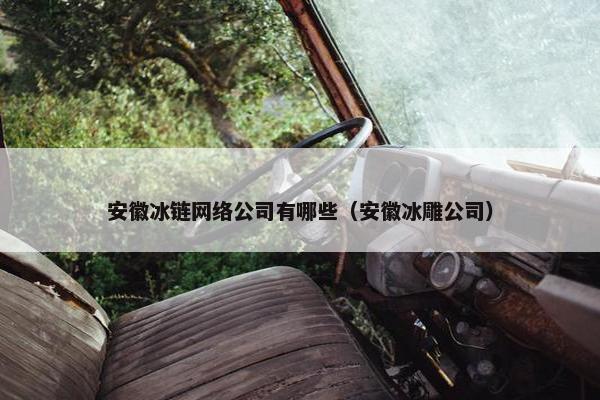 安徽冰链网络公司有哪些（安徽冰雕公司）