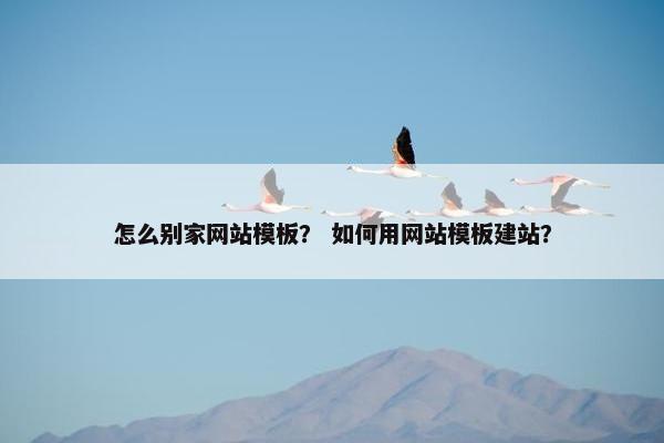 怎么别家网站模板？ 如何用网站模板建站？