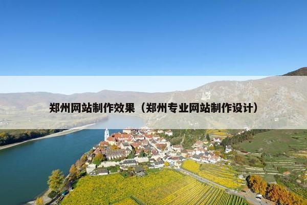 郑州网站制作效果（郑州专业网站制作设计）