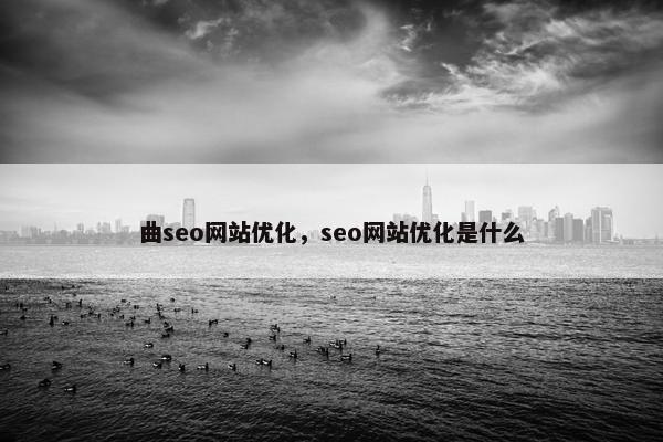 曲seo网站优化，seo网站优化是什么