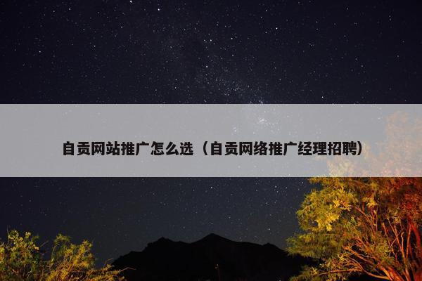 自贡网站推广怎么选（自贡网络推广经理招聘）
