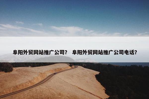 阜阳外贸网站推广公司？ 阜阳外贸网站推广公司电话？