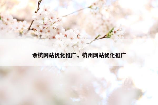 余杭网站优化推广，杭州网站优化推广