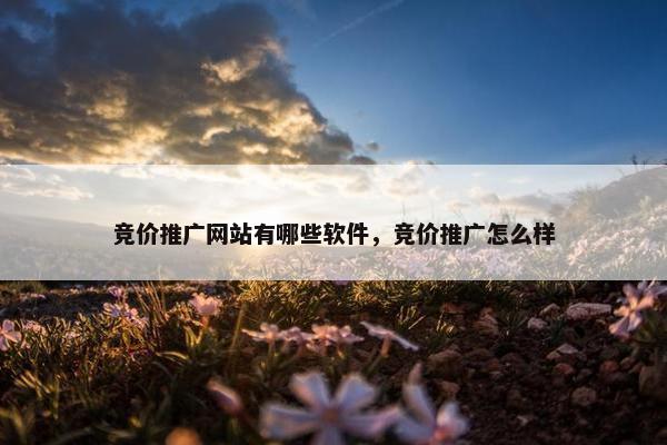 竞价推广网站有哪些软件，竞价推广怎么样